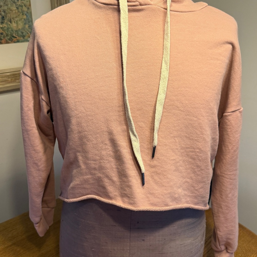 Dance & Marvel Blush Cropped Hoodie